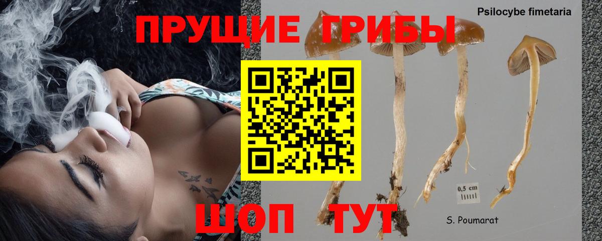 сколько стоит  Вход с VPN  Майский  Псилоцибиновые грибы мицелий 